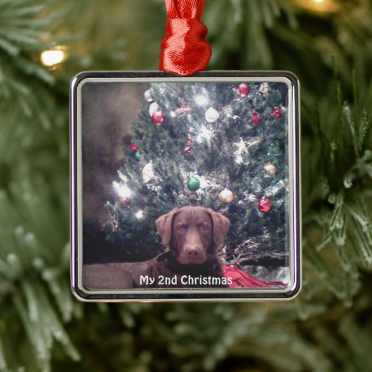 Silver Puppy mein 2. Weihnachtsgeschenk Foto Ornam Ornament Aus Metall (Baum)