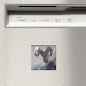 Silver Ram Magnet (In Situ (Geschirrspüler))