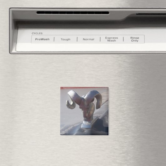 Silver Ram Magnet (In Situ (Geschirrspüler))