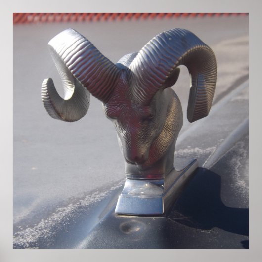 Silver Ram Poster (Vorne)