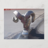 Silver Ram Postkarte (Vorderseite)