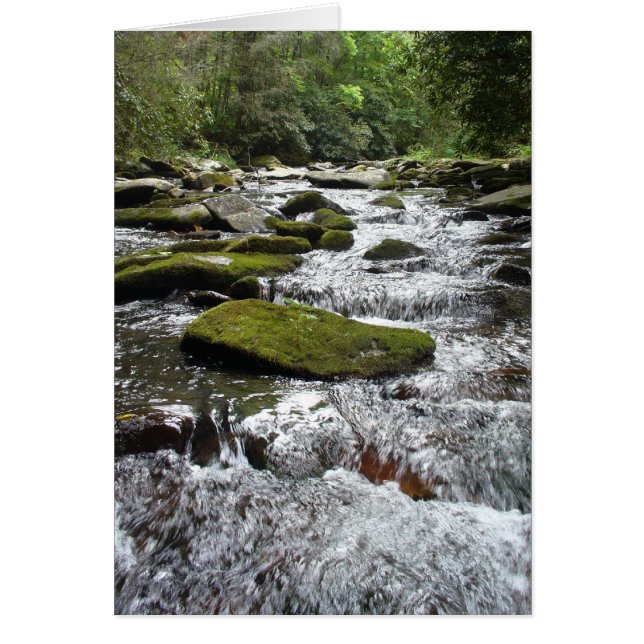 Silver Rapids (Vorne)