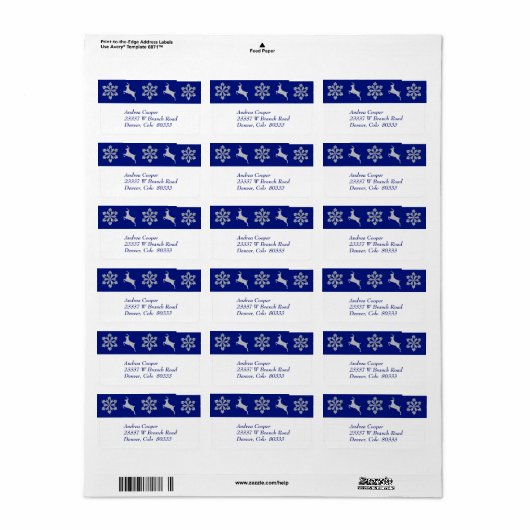 Silver Rentier Snowflake Border Adressaufkleber (Vorne)