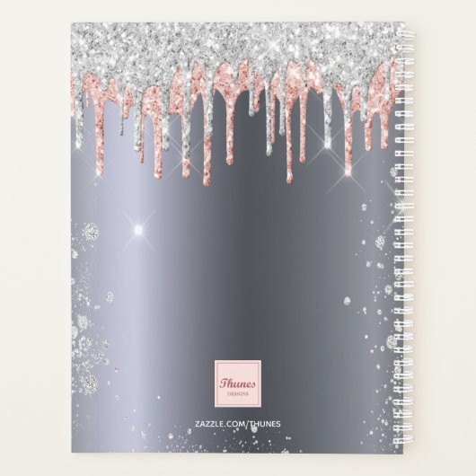 Silver Rose Gold Glitzer Tropfen Monogramm 2023 Planer (Rückseite)