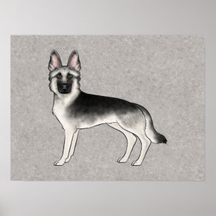 Silver Sable German Shepherd Niedlich Dog Illustra Poster