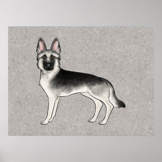 Silver Sable German Shepherd Niedlich Dog Illustra Poster (Vorne)