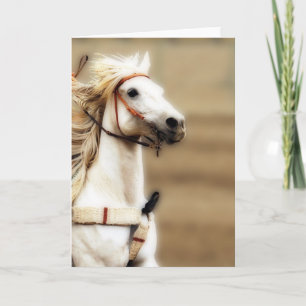 Silver Shadow Blank Inside Greeting Card Karte