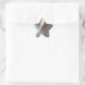 Silver Shining Star Stern-Aufkleber (Tasche)