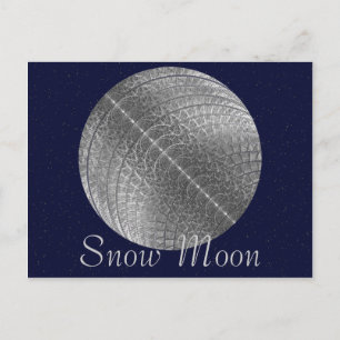 Silver Snow Moon Postkarte
