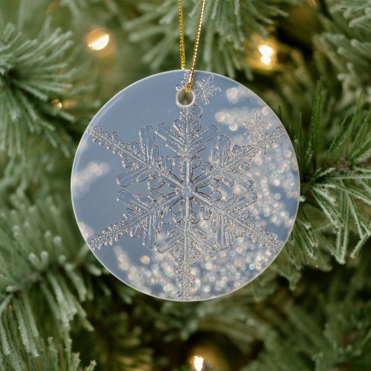 Silver Snowflake Weihnachtsschmuck (Baum)