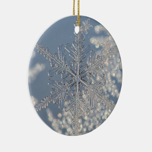 Silver Snowflake Weihnachtsschmuck (Rechts)