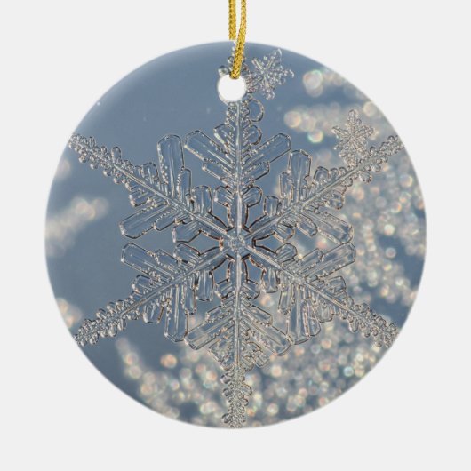Silver Snowflake Weihnachtsschmuck (Vorne)