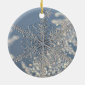 Silver Snowflake Weihnachtsschmuck (Hinten)