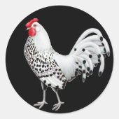 Silver Spangled Hamburg Rooster Sticker (Vorderseite)