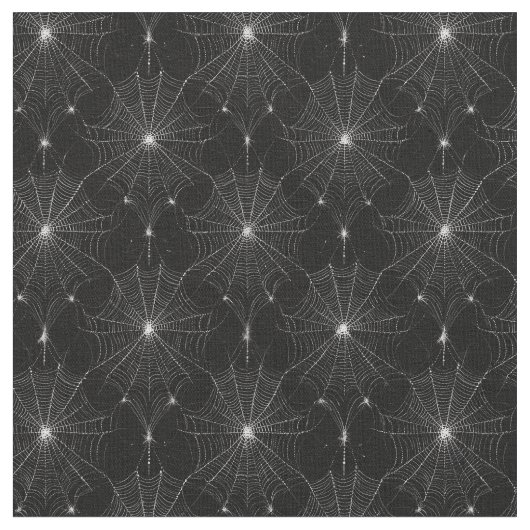 Silver Spiderweb Lace auf Black Stoff (Nahaufnahme)