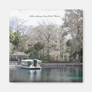 Silver Springs, Florida, Glasunterseiten-Boot Magnet