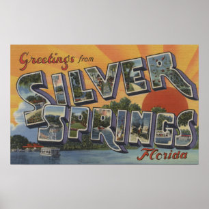 Silver Springs, Florida - große Buchstabe-Szenen 2 Poster