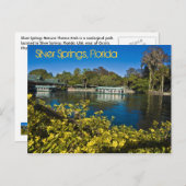 Silver Springs Nature Theme Park, Florida, U.S.A. Postkarte (Vorne/Hinten)