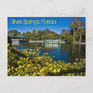 Silver Springs Nature Theme Park, Florida, U.S.A. Postkarte