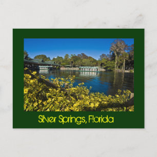 Silver Springs Nature Theme Park, Florida, U.S.A. Postkarte