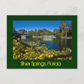 Silver Springs Nature Theme Park, Florida, USA. Postkarte (Vorderseite)