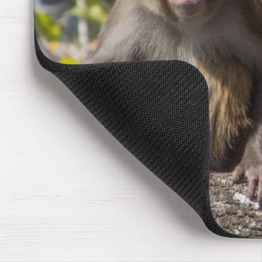 Silver- Springsaffen Mousepad (Ecke)