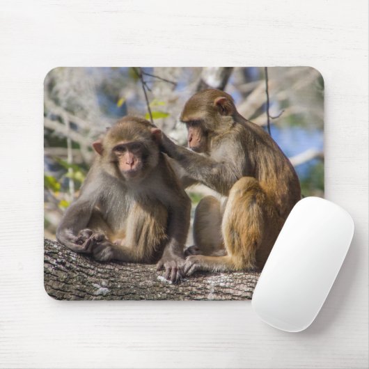 Silver- Springsaffen Mousepad (Mit Mouse)