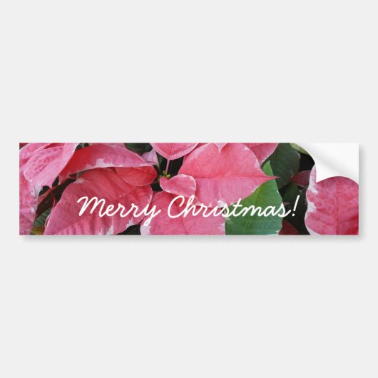 Silver Star Marble Poinsettias Pink Holiday Floral Autoaufkleber (Vorne)
