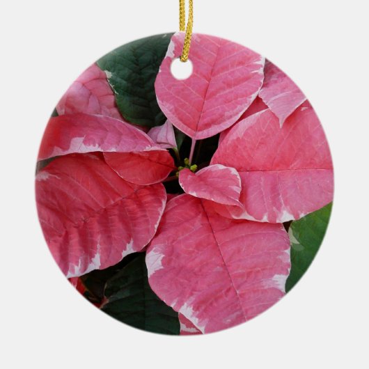 Silver Star Marble Poinsettias Pink Holiday Floral Keramik Ornament (Vorne)