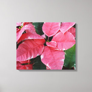 Silver Star Marble Poinsettias Pink Holiday Floral Leinwanddruck