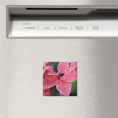 Silver Star Marble Poinsettias Pink Holiday Floral Magnet (In Situ (Geschirrspüler))