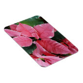 Silver Star Marble Poinsettias Pink Holiday Floral Magnet (Rechte Seite)