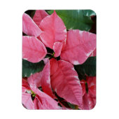 Silver Star Marble Poinsettias Pink Holiday Floral Magnet (Vertikal)