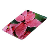 Silver Star Marble Poinsettias Pink Holiday Floral Magnet (Linke Seite)