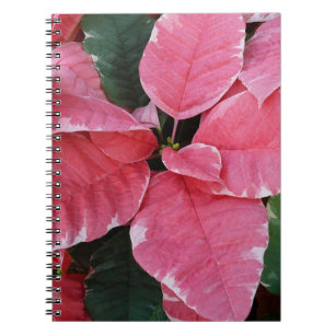 Silver Star Marble Poinsettias Pink Holiday Floral Notizblock
