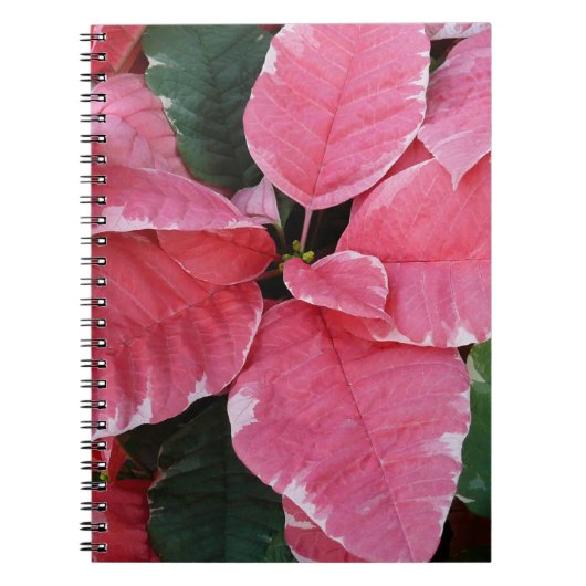 Silver Star Marble Poinsettias Pink Holiday Floral Notizblock (Vorderseite)