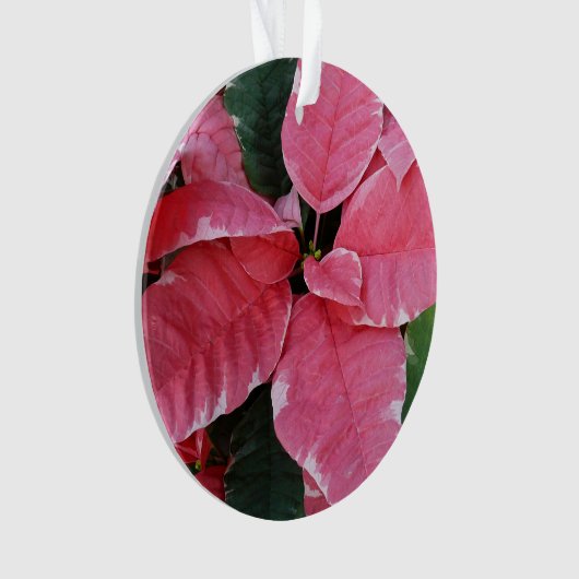 Silver Star Marble Poinsettias Pink Holiday Floral Ornament (Vorderseite)