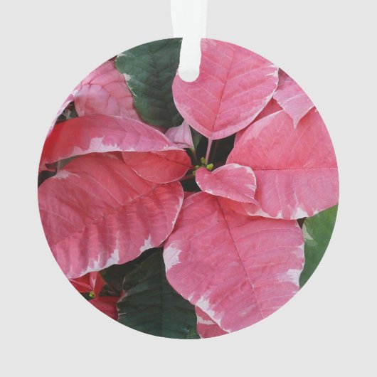 Silver Star Marble Poinsettias Pink Holiday Floral Ornament (Rückseite)