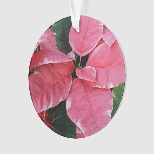 Silver Star Marble Poinsettias Pink Holiday Floral Ornament (Vorderseite)