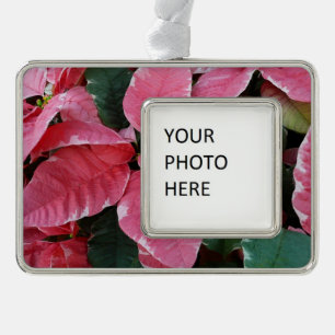 Silver Star Marble Poinsettias Pink Holiday Floral Rahmen-Ornament Silber