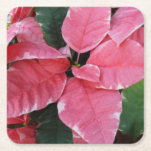 Silver Star Marble Poinsettias Pink Holiday Floral Rechteckiger Pappuntersetzer