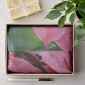 Silver Star Marble Poinsettias Pink Holiday Floral Seidenpapier (Geschenk)