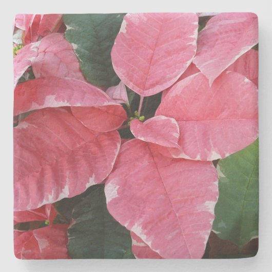 Silver Star Marble Poinsettias Pink Holiday Floral Steinuntersetzer (Vorderseite)
