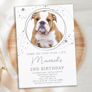 Silver Stars Geburtstag Personalisiert Hunde Hund Einladung