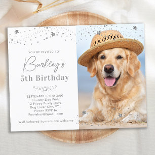 Silver Stars Personalisiertes Tier Foto Hund Gebur Einladungspostkarte