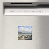 Silver Strand Magnet (In Situ (Geschirrspüler))