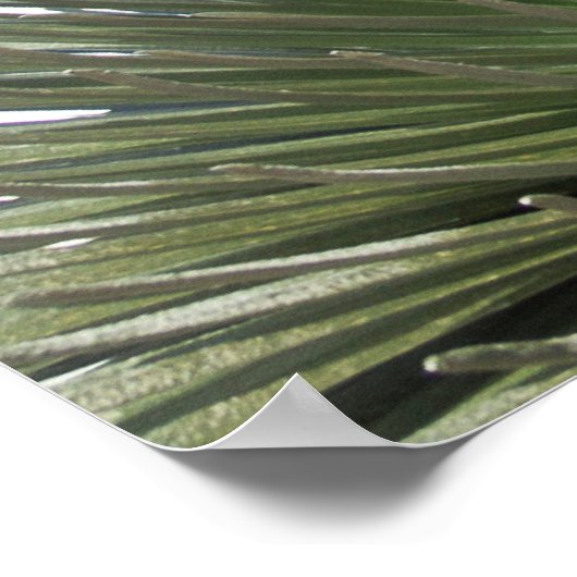 Silver Sword Landschaft Poster (Ecke)