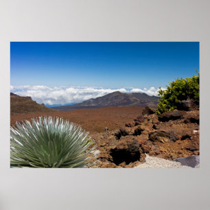 Silver Sword Landschaft Poster