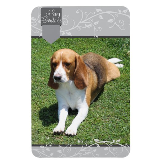 Silver Tab & Blüh Frohe Weihnachten Magnet (Vertikal)