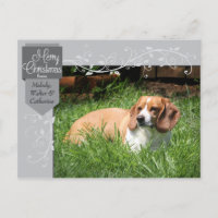 Silver Tab und Schnörkel Weihnachts-Foto Postkarte